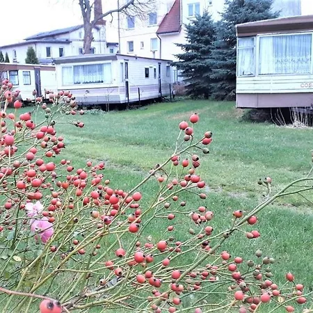 Ow Wilk - I Z Aneksami Kuchennymi, Parking, Plac Zabaw Prázdninový areál